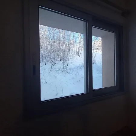 Apartamento Plein Centre Des 2 Alpes *