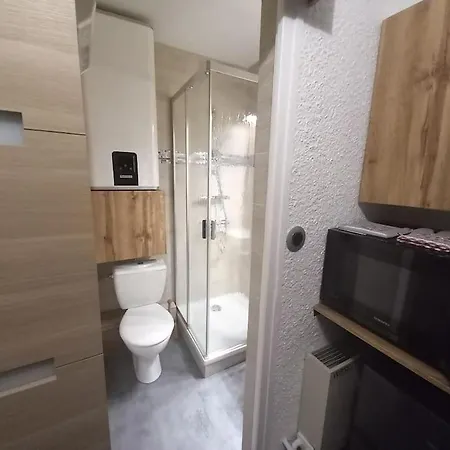 Plein Centre Des 2 Alpes 莱德萨阿尔卑斯
