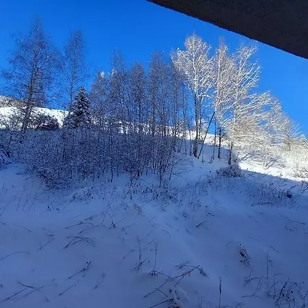 Plein Centre Des 2 Alpes 公寓